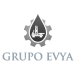 EV